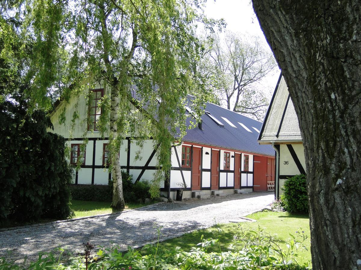 Dyssegaard B&B Skallerup ภายนอก รูปภาพ