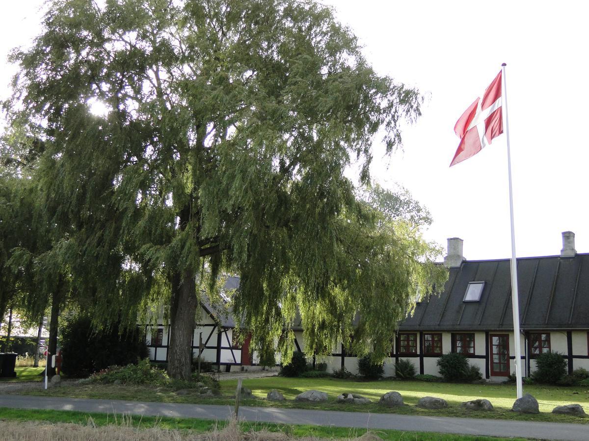 Dyssegaard B&B Skallerup ภายนอก รูปภาพ